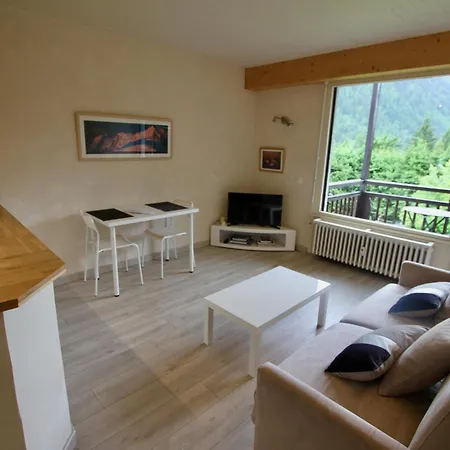 Les Grands Montets Appartement